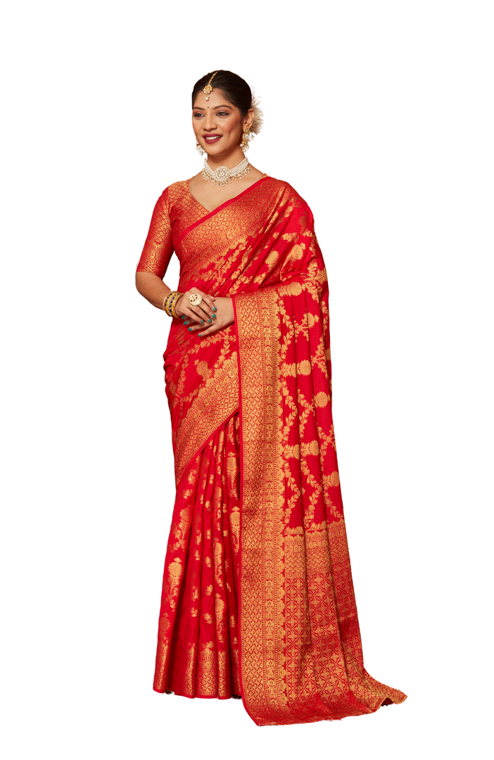 Designer Sarees Under One Roof