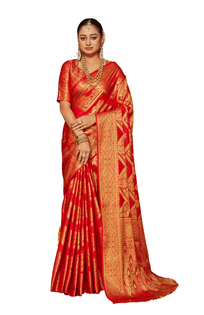 Sarees for the Modern Muse